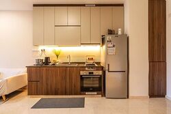 Urban Treasures (D14), Condominium #501934471